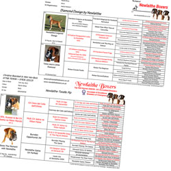 Have A Dog Day pedigree