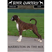 BOXER QUARTERLY logo