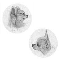 North East Coast Chihuahua Club logo