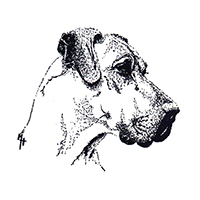 Dane Of The Year logo