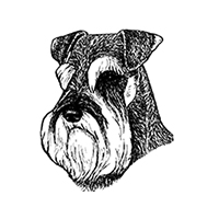 The Miniature Schnauzer Club (SHOW 1) logo