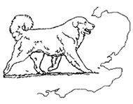 South Eastern Pyrenean Mountain Dog Club logo