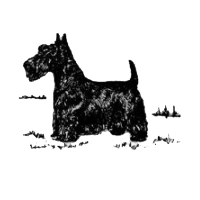 The West of England Scottish Terrier Club logo