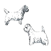 The Northern Cairn And West Highland White Terrier Club logo
